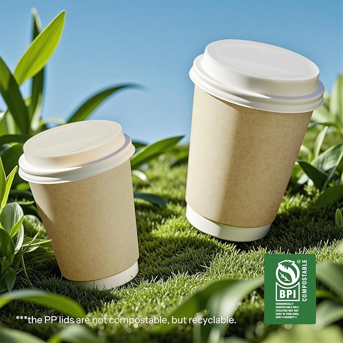 Disposable Coffee Cups with Lids 16 oz To Go Hot Cups,100 Pack Insulated Compostable Paper Cups with Lids, PLA Coated Natural Kraft Double Wall Disposable Cups for Everyday Home Togo Office Coffee Bar
