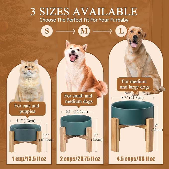 LIONWEI LIONWELI Ceramic Raised Dog Bowls, Medium - Set of 2 - Non Slip Wood Stand - Anti Vomiting - 850 ml - White