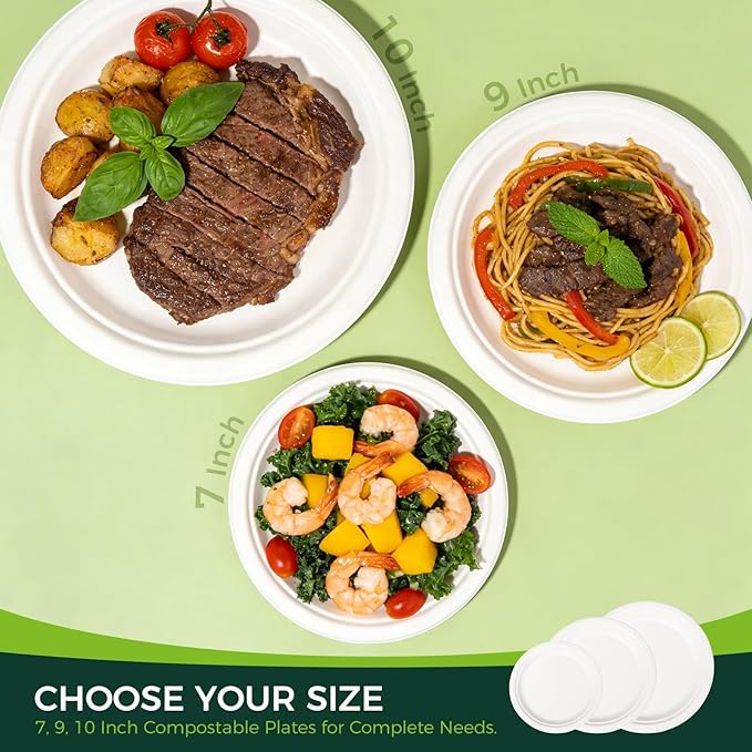 100% Compostable Plates - 125-Count Heavy Duty Disposable 10-Inch Plates Made of Bagasse - Eco-Friendly and Sustainable