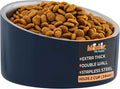 Master Pet Supply Stainless Steel Slanted Dog Cat Food Bowl - 16 oz Heavy Duty - Navy Blue, Double Wall Insulated, Non-Slip Elevated Bowl for French Bulldogs Pugs Cats, Anti Rust Dishwasher Safe