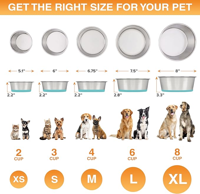 Neater Pet Brands Stainless Steel Dog Bowls with Non-Slip Rubber Bottom – 3 Cup (24 oz), Teal - Set of 2 Heavy Duty Metal Dog Bowls, Dishwasher Safe, Food or Water Bowl, Ideal for Small to Medium Dogs
