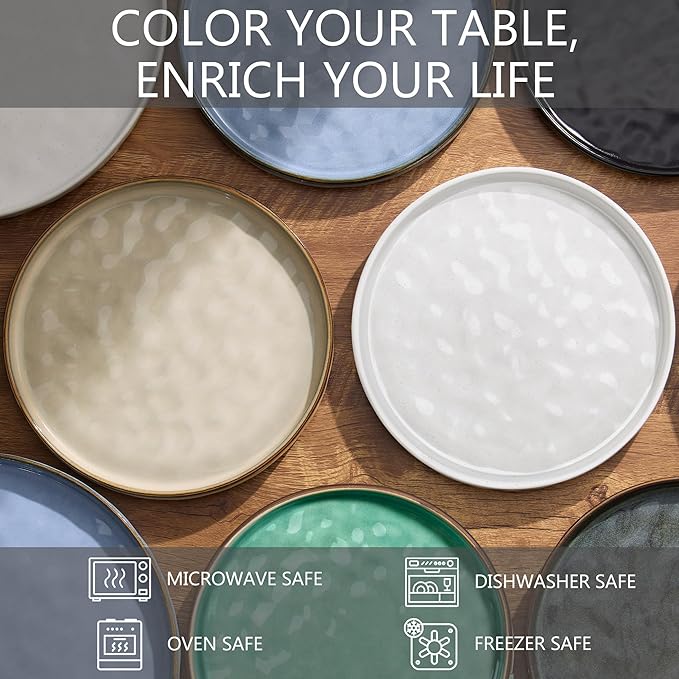 LIANYU Ceramic Dessert Plates Set of 6, 10.2 Inch Dinner Appetizer Plates for Kitchen Dining, Porcelain Round Plate Serving Cake Bread Salad Snack, Microwave & Dishwasher Safe, Obsidian Black