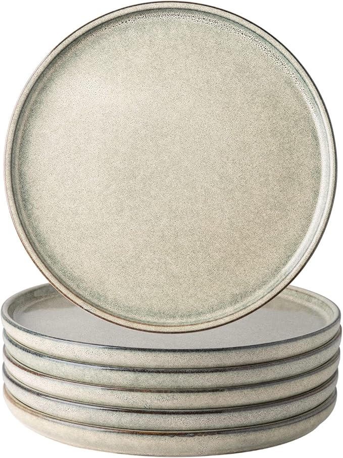 AmorArc Dinner Plates Set of 6, 10.5 Inch Reactive Glaze Ceramic Plates Set, Microwave, Dishwasher Safe, Scratch Resistant, Modern Large Dinnerware Dishes Set Kitchen Stoneware Plates