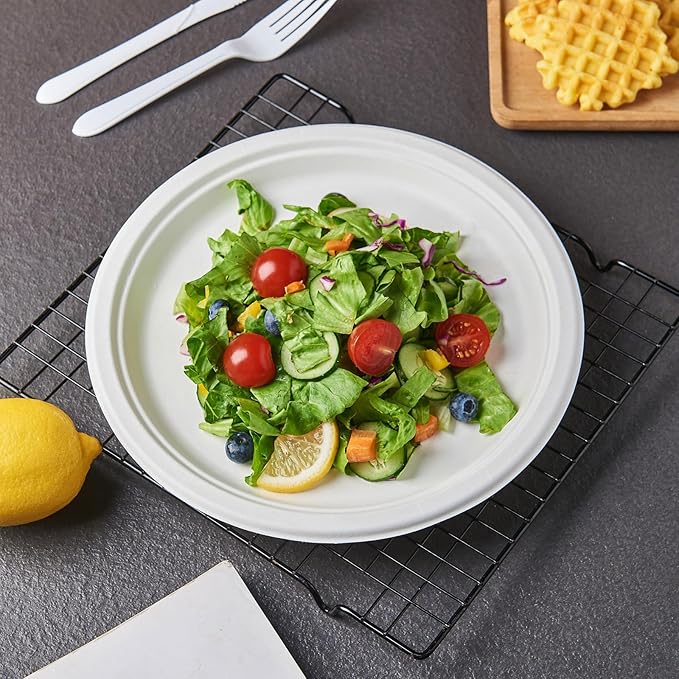 [150-Pack 10 Inch Paper Plates, Heavy Duty Disposable Party Plates Sugarcane Bagasse, White Unbleached 10" Dinner Paper Plate