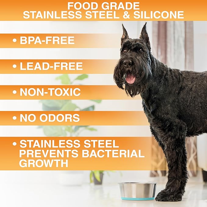Neater Pet Brands Stainless Steel Dog Bowls with Non-Slip Rubber Bottom – Set of 2, 8 Cup (64 oz), Teal - Heavy Duty Metal Dog Bowl, Dishwasher Safe, Food or Water Bowl, Ideal for Large Dogs