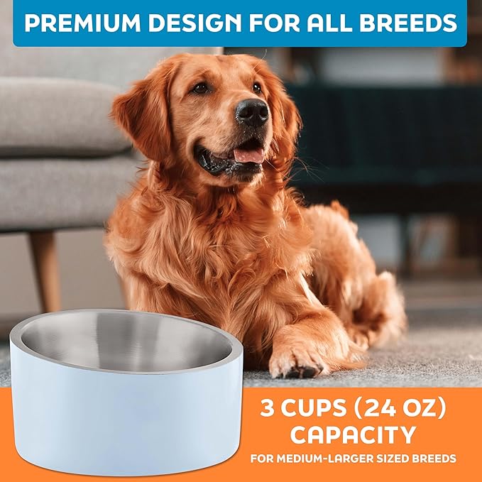 Master Pet Supply Stainless Steel Slanted Dog Cat Food Bowl - 24 oz Heavy Duty - Glacier Blue, Double Wall Insulated, Non-Slip Elevated Bowl for French Bulldogs Pugs Cats, Anti Rust Dishwasher Safe