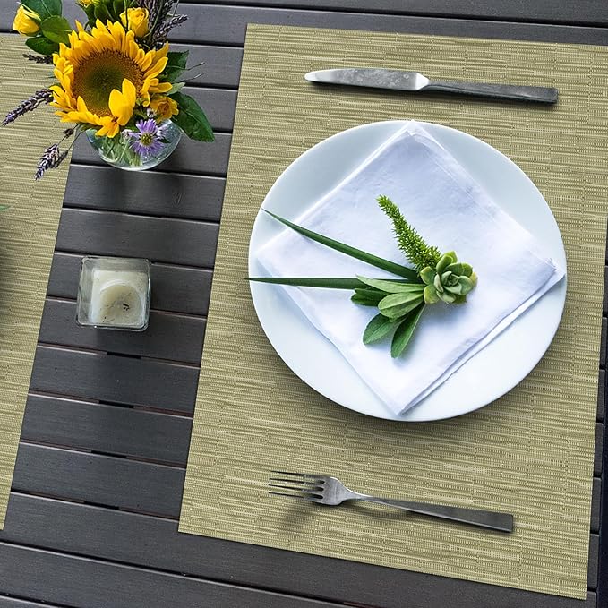 Winknowl Placemats Set of 4, Heat Resistant Stain Resistant Woven Vinyl Insulation Place mats, Durable Washable Elegant Table Mats for Kitchen Dining Table Decor (Bamboo Green)
