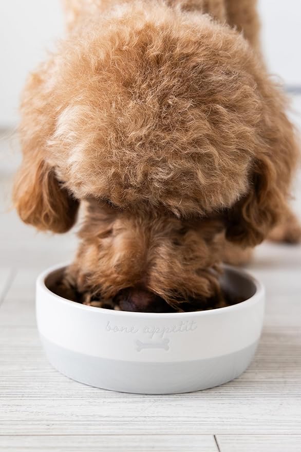 Pearhead Ceramic Bone Appétit Dog Bowl, Holds 2 Cups, Stoneware Food and Water Dish, Grey and White Pet Feeder, Small/Medium