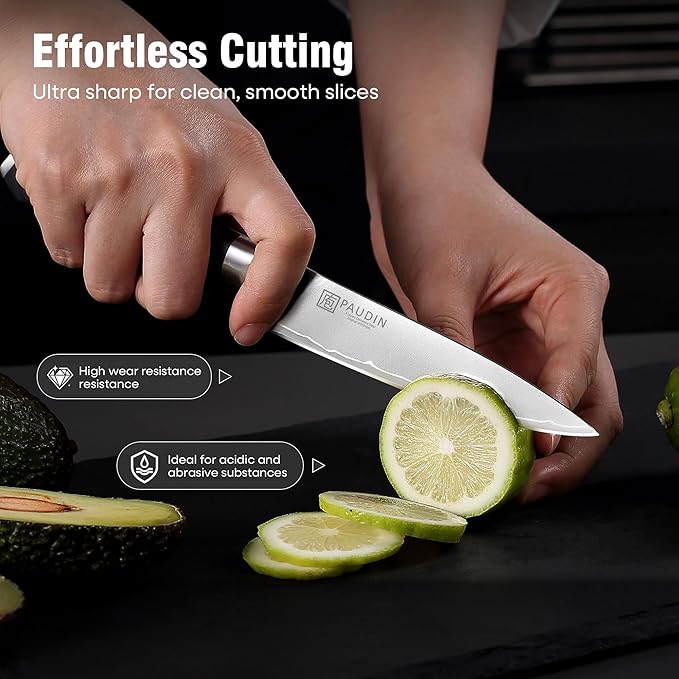 PAUDIN Kitchen Knife Set, 4 Pieces Chef Knife Set, High Carbon Stainless Steel Knife Set, Ultra-Sharp Knives Set for Kitchen with Ergonomic Wooden Handle, Gifts for Men and Women