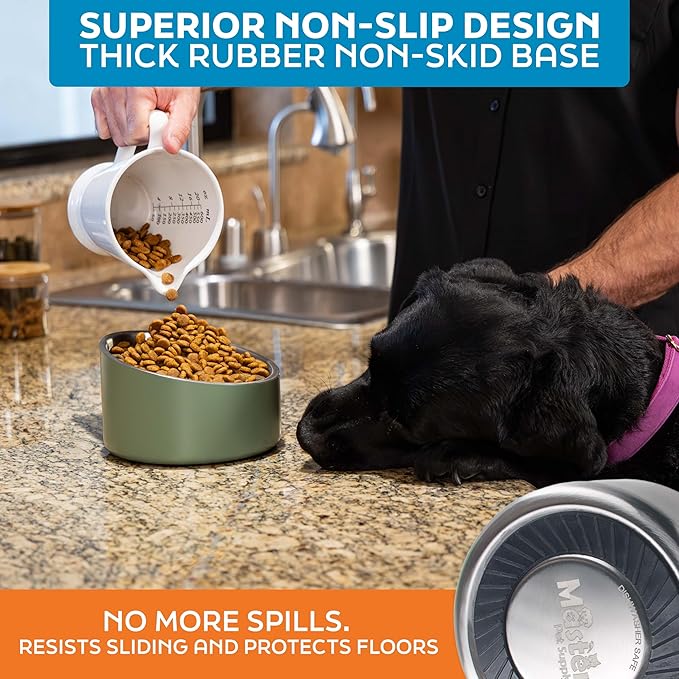 Master Pet Supply Stainless Steel Slanted Dog Cat Food Bowl - 24 oz Heavy Duty - Stainless Steel, Double Wall Insulated, Non-Slip Elevated Bowl for French Bulldogs Pugs Cats, Anti Rust Dishwasher Safe