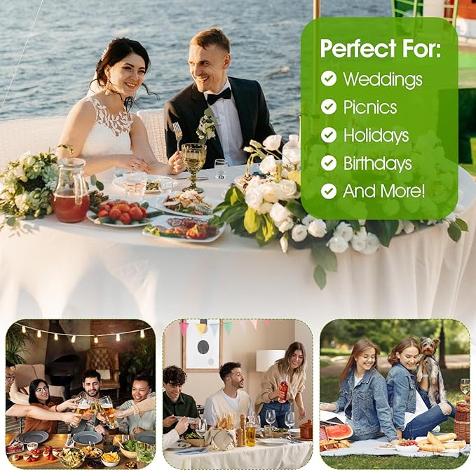 10 Pcs Round Clear Plastic Serving Platters and Trays, 12 Inch Party Dinner Plates for Appetizers, Desserts, Fruits, Catering, Weddings and Events
