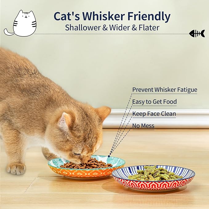 Selamica Ceramic Cat Bowls, 6 Inch Wide Shallow Cat Food Bowl for Relief Whisker Fatigue, Set of 4, Assorted Colors