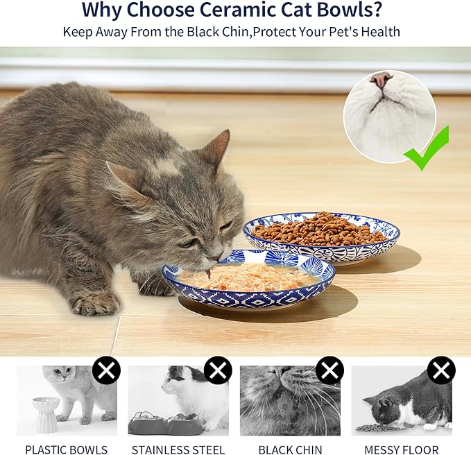 Selamica Ceramic Cat Bowls, 6 Inch Wide Shallow Cat Food Bowl for Relief Whisker Fatigue, Set of 6, Vintage Blue