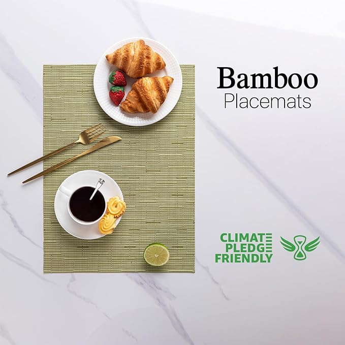 LEXMORE Placemats Set of 4 Vinyl/Plastic Woven Place Mats for Kitchen Table Indoor/Outdoor Washable Placemat Wipeable Dining Table Mats(Pea Green)