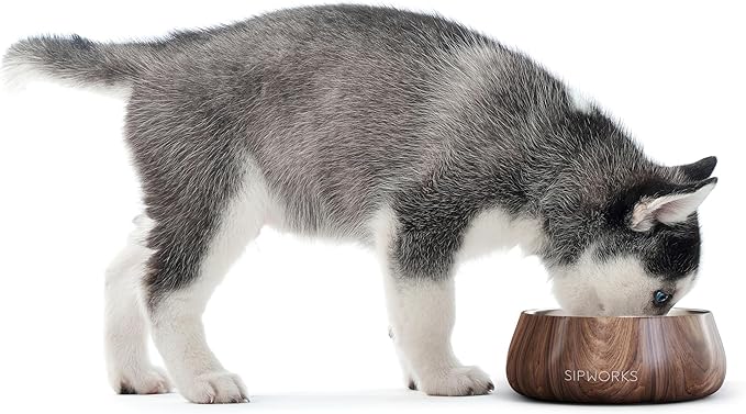 Sipworks Stainless Steel Dog Bowl – 32oz Weighted Metal Food and Water Bowls for Dogs and Cats with Non-Slip Base - Pet Bowls for All Breeds Sizes for Travel & Outdoor Play | Powder Blue
