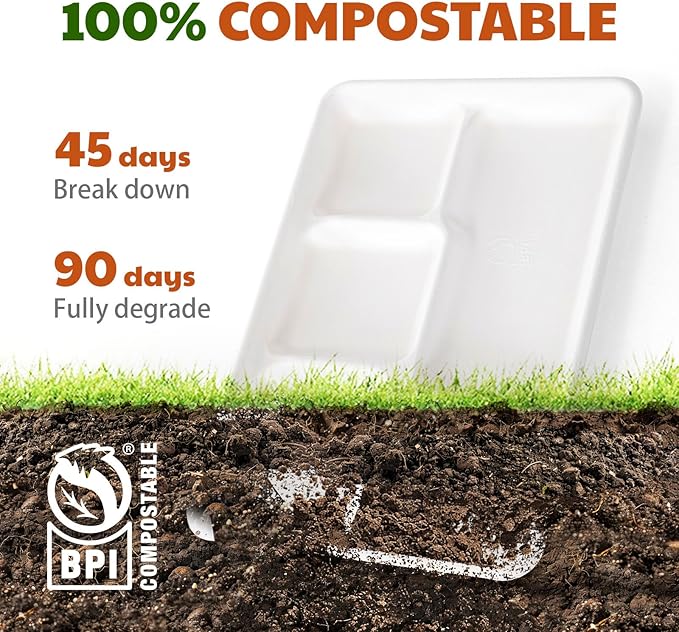 Compostable 5-Compartment Paper Plates, 100 Count, 12.5 x 8.6 inch, Disposable Divided Lunch Trays, Biodegradable Bagasse Sectional Plates for Buffet, Parties, Events & Daily Use, (White)