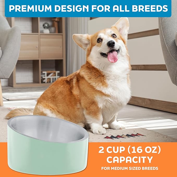Master Pet Supply Stainless Steel Slanted Dog Cat Food Bowl - 16 oz Heavy Duty - Pistachio, Double Wall Insulated, Non-Slip Elevated Bowl for French Bulldogs Pugs Cats, Anti Rust Dishwasher Safe