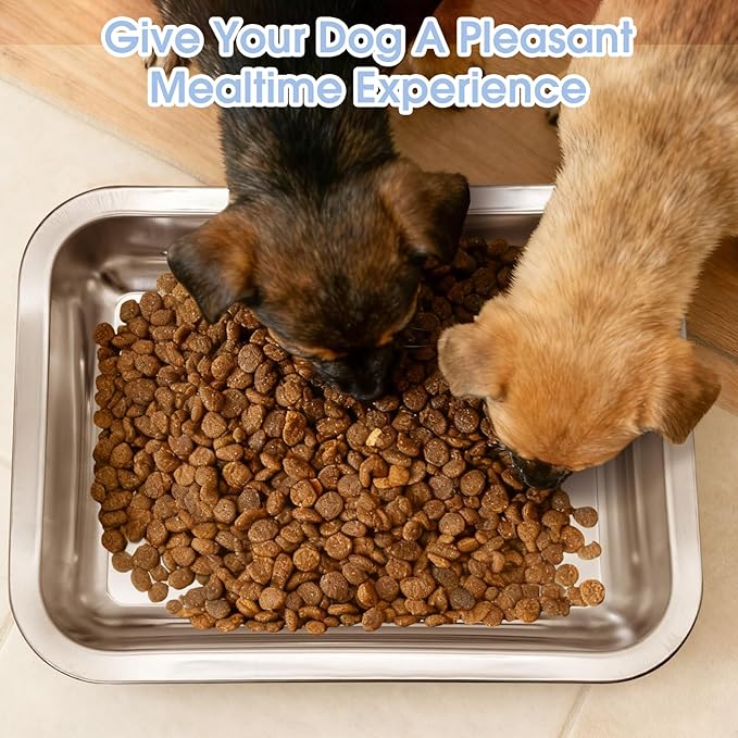 Fhiny 4 PCS Stainless Steel Dog Bowls, Metal Shallow Puppy Bowls 10"×7.5" Indoor & Outdoor Universal Dog Food Plate Whisker Fatigue Friendly Cat Dishes Easy to Clean for Puppy Kitten Doggy 1.2" H