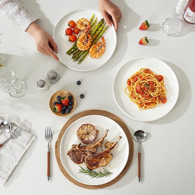Stoneware Dinner Plates Set of 4, 10.25 Inch Plates for Steak, Pasta, Ceramic Plates Sets, Microwave Safe, Dishwasher Safe, Versatile for All Seasons, Matte White