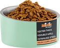 Master Pet Supply Stainless Steel Slanted Dog Cat Food Bowl - 24 oz Heavy Duty - Pistachio, Double Wall Insulated, Non-Slip Elevated Bowl for French Bulldogs Pugs Cats, Anti Rust Dishwasher Safe