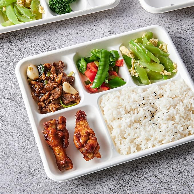 Vplus 500 Pack 5 Compartment Plates, 100% Compostable Paper Plate, 10.25x8.5 inch Disposable School Lunch Trays, Eco-Friendly Bagasse Plates for School Lunch, Buffet, and Party, Perfect for Kids