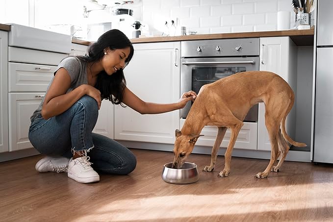 Sipworks Stainless Steel Dog Bowl – 32oz Weighted Metal Food and Water Bowls for Dogs and Cats with Non-Slip Base - Pet Bowls for All Breeds Sizes for Travel & Outdoor Play | Hot Pink
