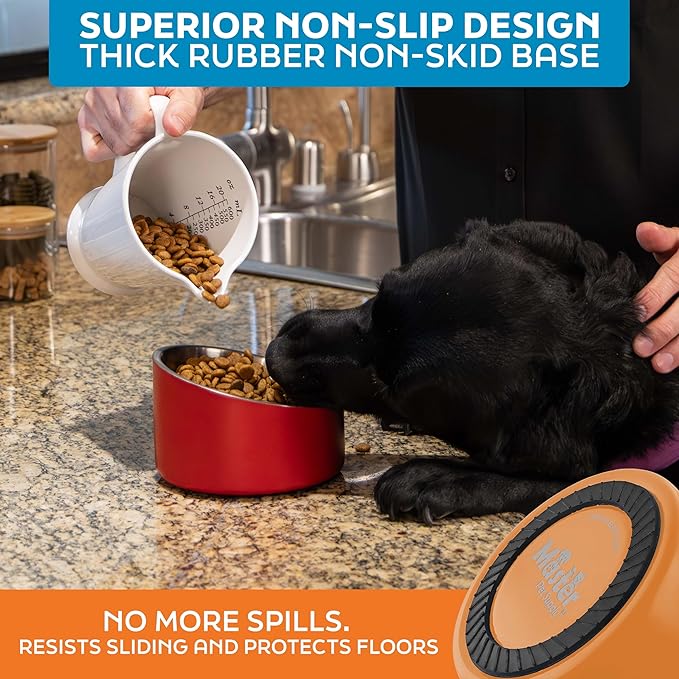Master Pet Supply Stainless Steel Slanted Dog Cat Food Bowl - 16 oz Heavy Duty - Mango Tango, Double Wall Insulated, Non-Slip Elevated Bowl for French Bulldogs Pugs Cats, Anti Rust Dishwasher Safe