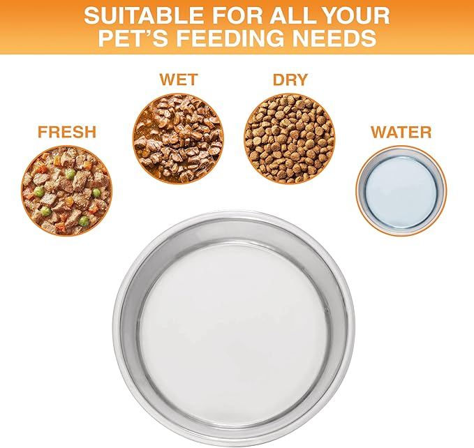 Neater Pet Brands Stainless Steel Dog Bowls with Non-Slip Rubber Bottom – Set of 2, 6 Cup (48 oz), Teal - Heavy Duty Metal Dog Bowl, Dishwasher Safe, Food or Water Bowl, Ideal for Large Dogs