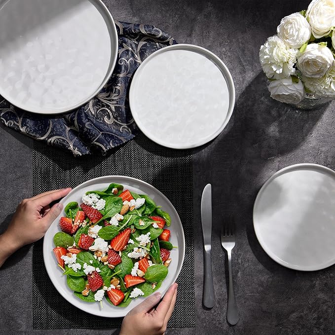 LIANYU Dinner Plates Set of 6, 10.2 Inch Large Ceramic Dessert Plate for Kitchen, Porcelain Serving Dishes for Salad Appetizer Cake Bread, Scratch Resistant, Microwave & Dishwasher Safe, Polar White