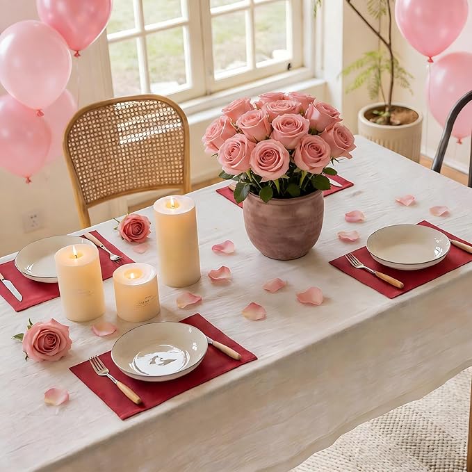 Home Brilliant Placemats Set of 6 Red Place Mats Decoration Heat Resistant Dining Table Place Mats Machine Washable Valentine's Day Kitchen Table Mats, 13x19 inch, Burgundy