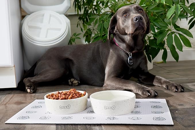 Pearhead Ceramic Pet Bowl 3-Cup Capacity Durable Speckled Dish with Woof Graphic Food Water Feeder for Small Medium Dogs