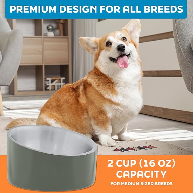 Master Pet Supply Stainless Steel Slanted Dog Cat Food Bowl - 16 oz Heavy Duty - Camo Patrol, Double Wall Insulated, Non-Slip Elevated Bowl for French Bulldogs Pugs Cats, Anti Rust Dishwasher Safe