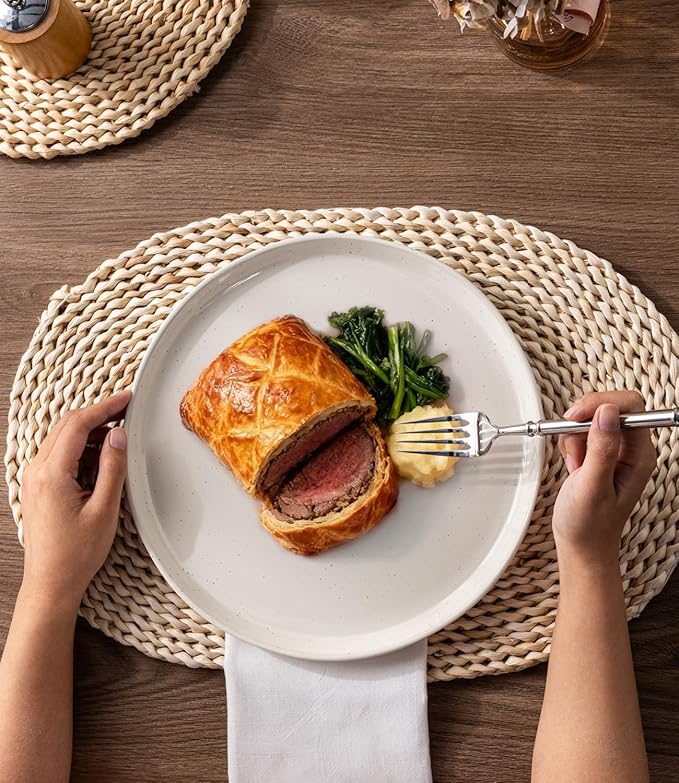 AmorArc Ceramic Dinner Plates Set of 6,10.5 Inch Stoneware Plates Set for Dinner, Elegant Dish Set with Rustic Terracotta Underside,Microwave & Dishwasher Safe