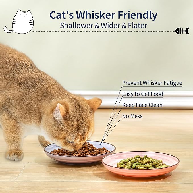 Selamica Ceramic Cat Bowls, 6 Inch Cat Food Bowl Whisker Friendly, Shallow Wide Kitten Plates for Food and Water, Set of 4, Gradient Colors