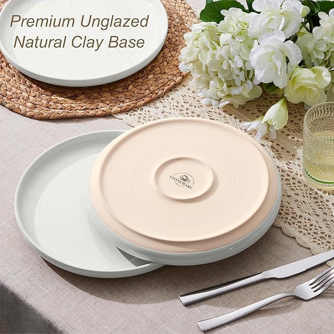 LIANYU Stoneware Dinner Plates Set of 6, 10.5 Inch Porcelain Dinner Plates for Kitchen, Large and Round Ceramic Salad Dishes Set, Oven, Microwave & Dishwasher Safe, Scratch Resistant, Three-color