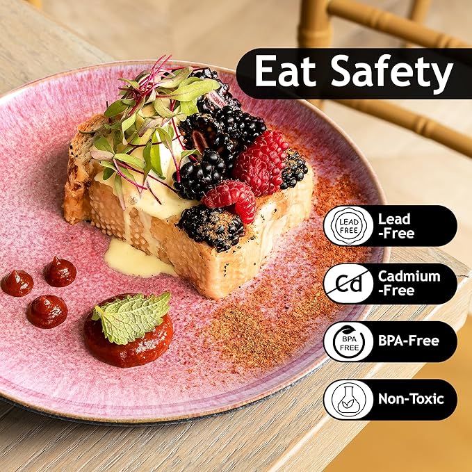MIAMIO – Set of 6, Dinner Plates, Ceramic Plates, Kitchen plates, Plate Sets – Microwave Safe Plates, Oven and Dishwasher Safe – Las Palmitas Collection