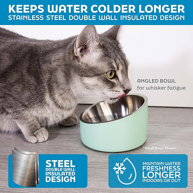 Master Pet Supply Stainless Steel Slanted Dog Cat Food Bowl - 16 oz Heavy Duty - Navy Blue, Double Wall Insulated, Non-Slip Elevated Bowl for French Bulldogs Pugs Cats, Anti Rust Dishwasher Safe