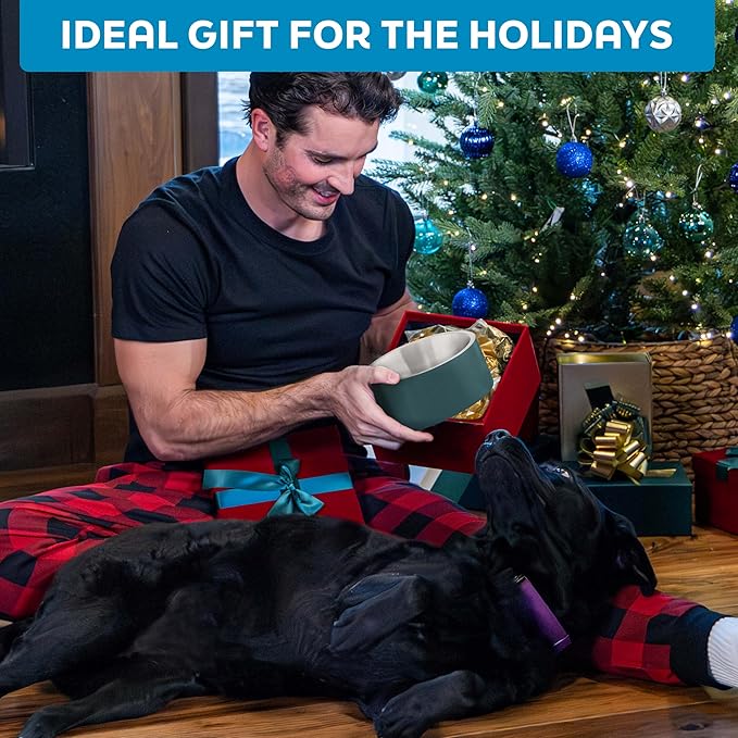 Master Pet Supply Stainless Steel Slanted Dog Cat Food Bowl - 8 oz Heavy Duty - Graphite, Double Wall Insulated, Non-Slip Elevated Bowl for French Bulldogs Pugs Cats, Anti Rust Dishwasher Safe