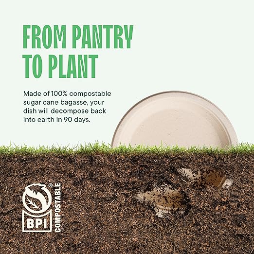 Deep Dish Paper Plates, Heavy Duty Disposable Dinner Plates [500-Pack] 9 Inch Plates - 100% Compostable Eco-Friendly, Biodegradable Sugarcane Bagasse, Natural Brown 9" Paper Plate Disposable