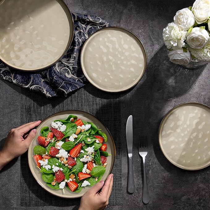 LIANYU Ceramic Plates Set for 4, 10.2In Porcelain Dinner Salad Appetizer Plates for Kitchen, Modern Round Stoneware Dining Dish Set, Scratch Resistant, Microwave, Oven and Dishwasher Safe, Sandy Beige