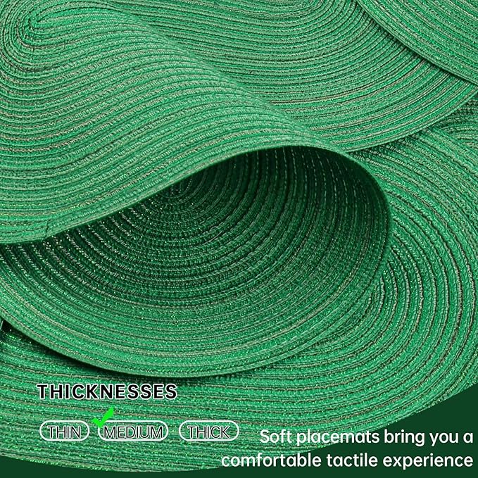 Noctiflorous Oval Braided Placemats Set of 4 Woven 12x18 Inch Non Slip Washable Heat Resistant Place Mats Round Tablemats for Dining Kitchen Party Daily Table Decor Dinner Mats (Green Shine, 4)