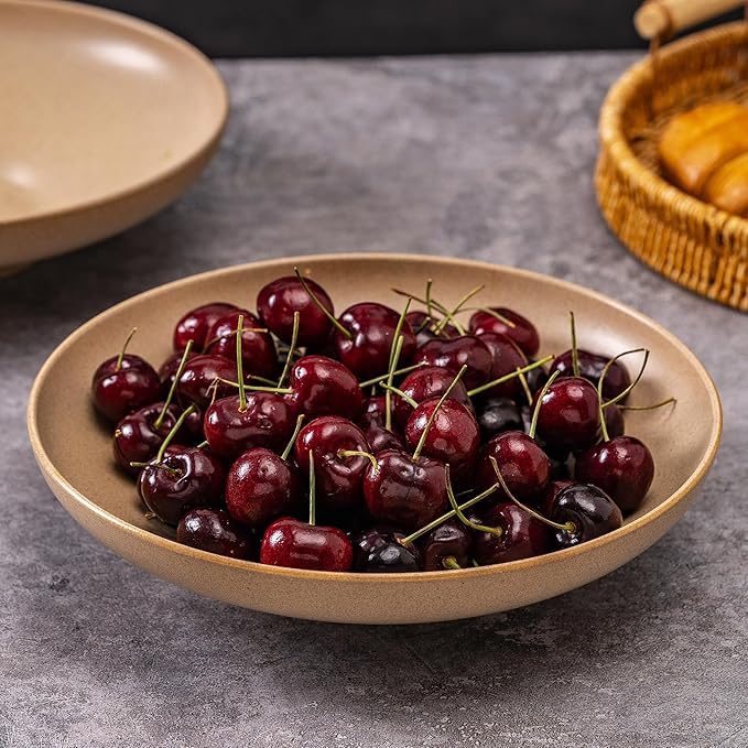 Ceramic Serving Bowls with Wooden Spoons Set of 2, Large Serving Bowl for Dinner Salad Soup Pasta Dessert Fish Fruit Chicken Bread, Oven Dishwasher Safe, 50oz Bowl for Entertaining, 9.75"