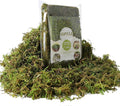 Fake Green Moss for Potted Plants, 4OZ Artificial Moss for DIY Crafts, Faux Moss for Table Centerpieces Fairy Garden Decor (Fresh Green 140gr)