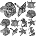ALPHA Living HOME Napkin Rings Set of 12, Premium 100% Metal, Rust-Resistant Tabletop Décor - Antique Coastal Sea Shell Napkin Holdersfor Family Dinner, Wedding, Party, Decorations - Antique Silver