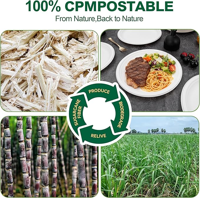 DaYammi 100% Compostable Paper Plates 10 Inch, 60-Pack Heavy Duty Paper Plates Bulk,Biodegradable Bagasse,Eco-Friendly Disposable Dinner Plate for BBQ,Picnic,Party (BPI Certified,Microwaveable)