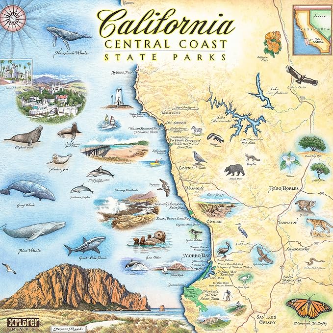 California Central Coast Ceramic Coaster with Cork Base - Set of 4